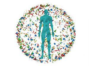 Role of the Microbiome